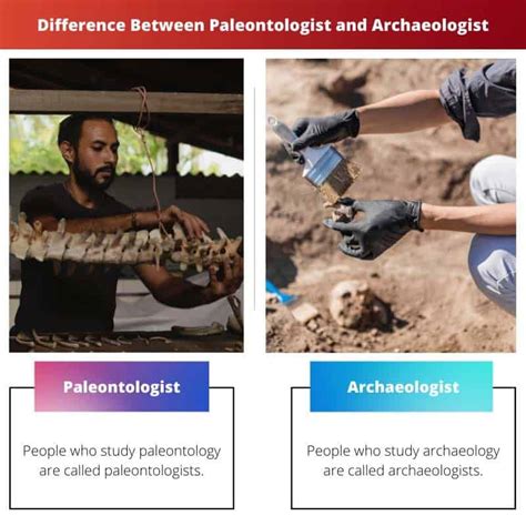 difference between paleontologist and arc.